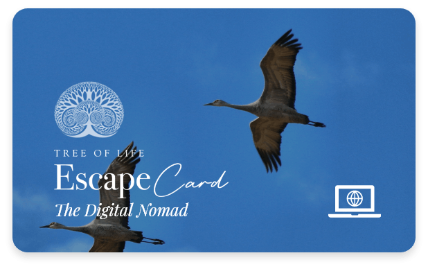 Escape Card Digital Nomad